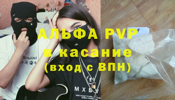 шишки Вязники